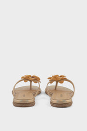 Formal Slip-On IF0229-RoseGold | Elegant Shoes
