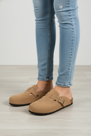 IC8516-Camel